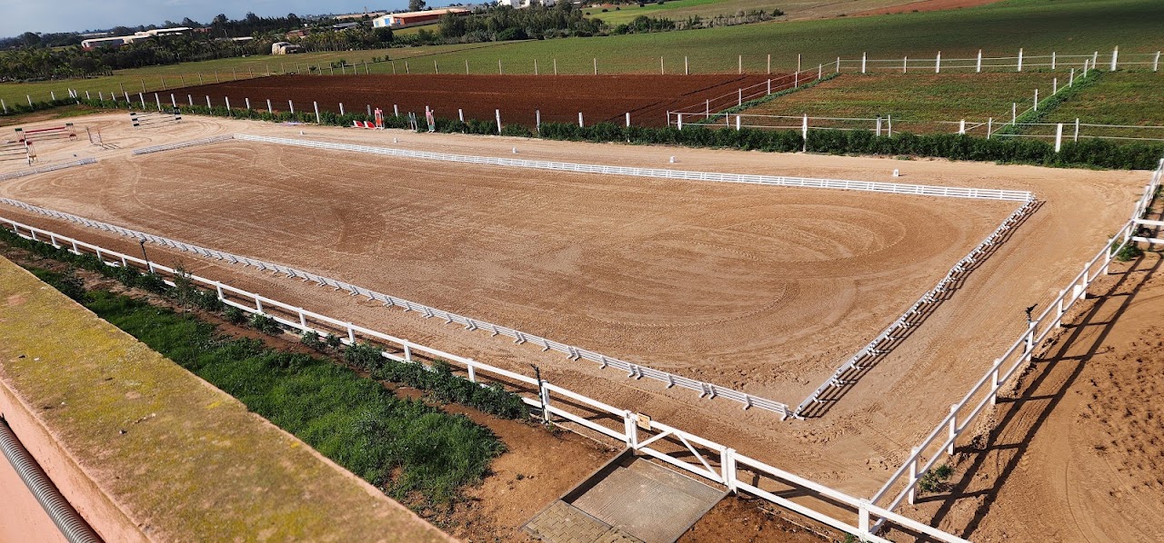 Equestrian Center Ouled Azzouz Les Ecuyers De Casablanca