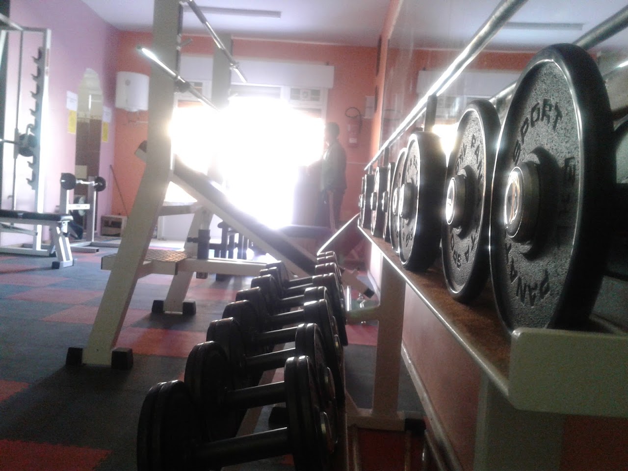 Association Inbiaat Sportive de Musculation — photo 3