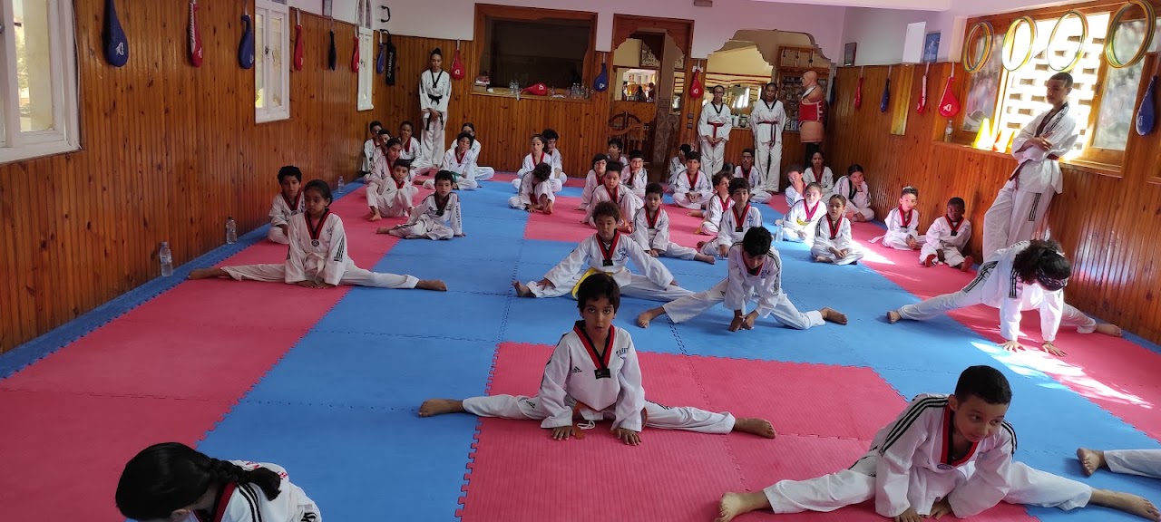 Association abtal nahda taekwondo — photo 2