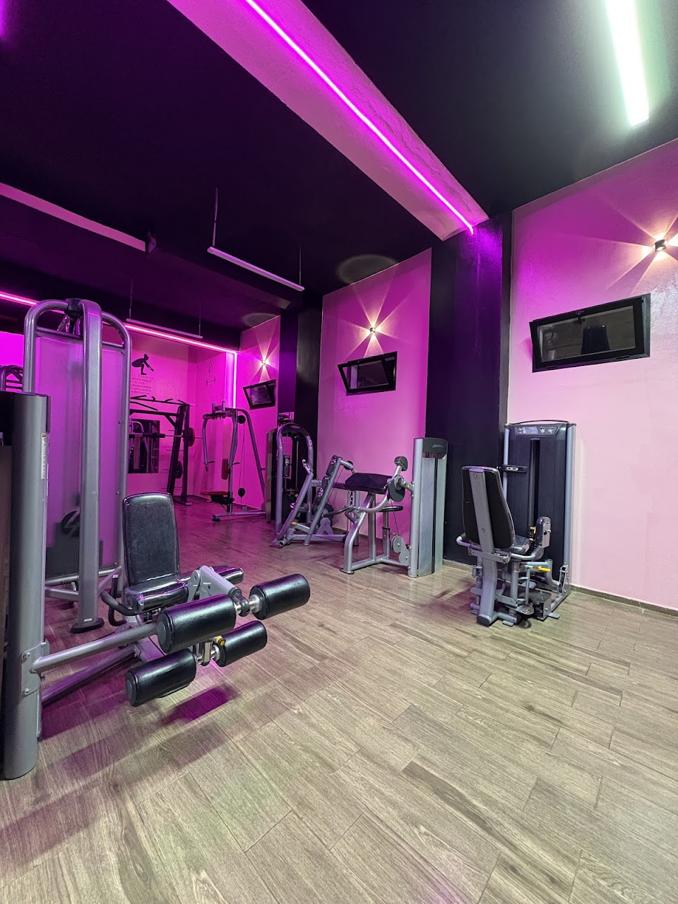 Gold Fitness