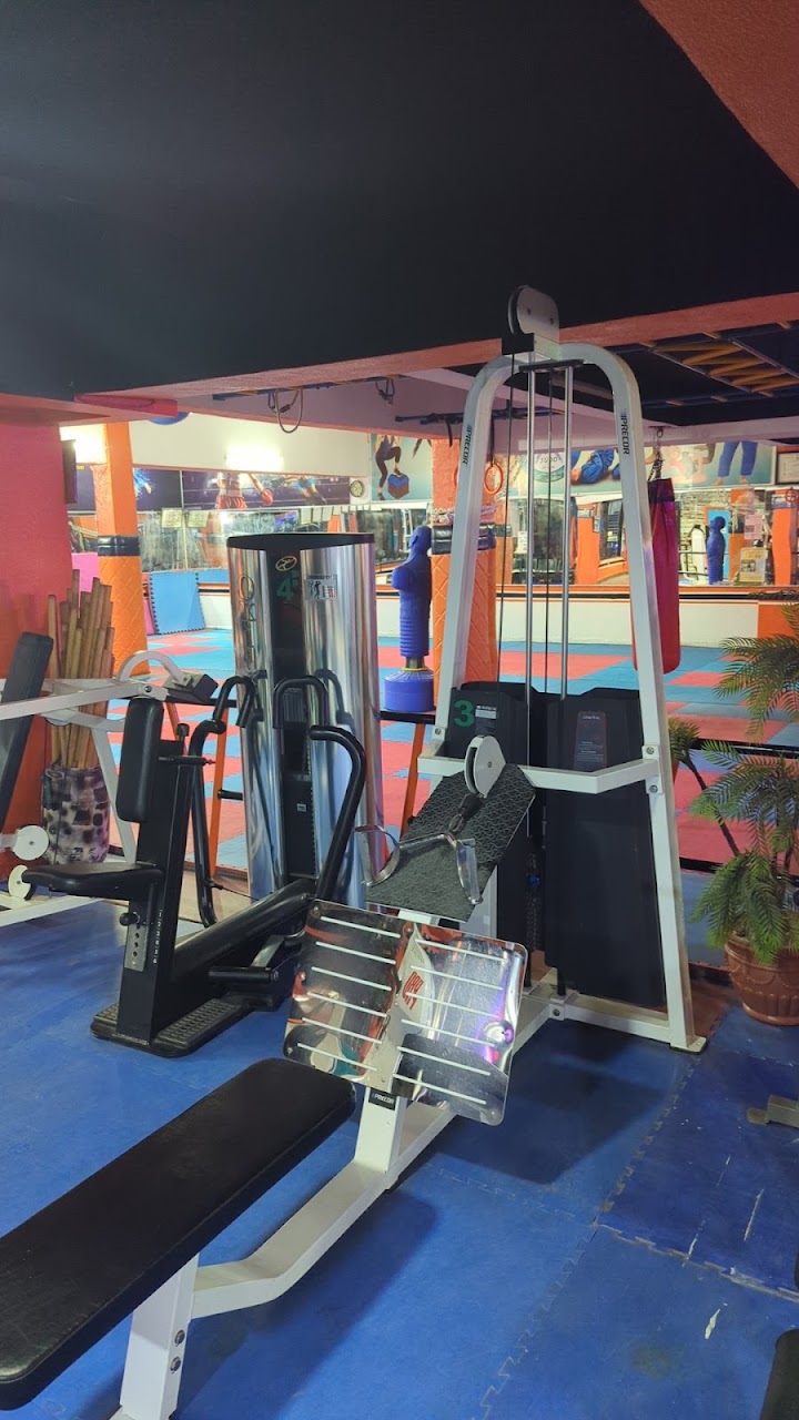 Ocean Gym (Jujitsu-Judo-Aikido) — photo 4
