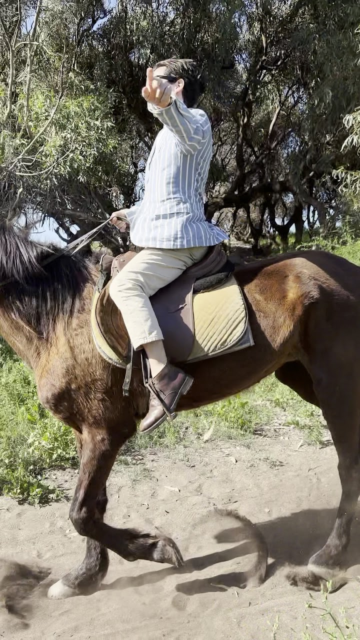 Horseland casablanca — photo 2