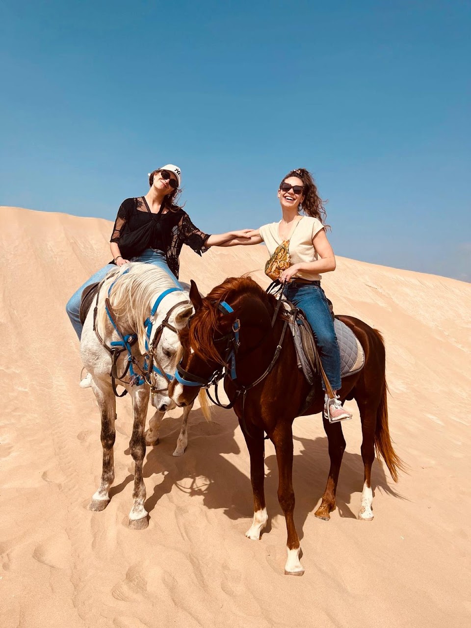 Les Cavaliers D'essaouira — photo 4