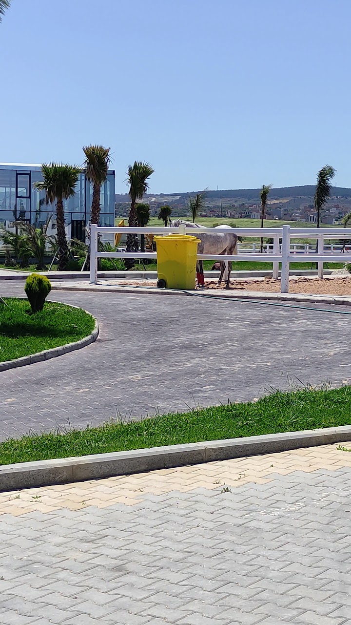 Club JBK Jumping Horses — photo 3