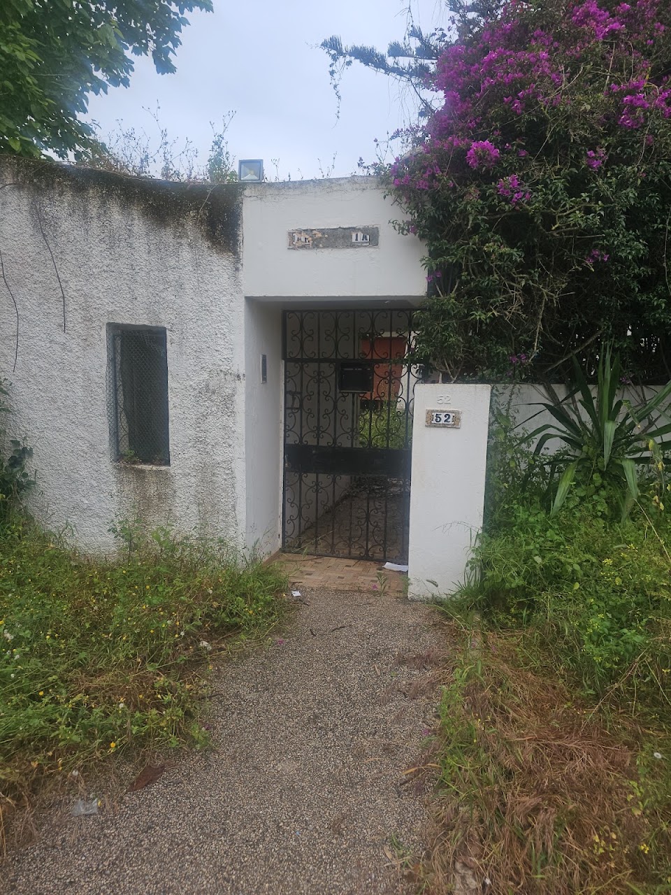 Artemesia Club — photo 2