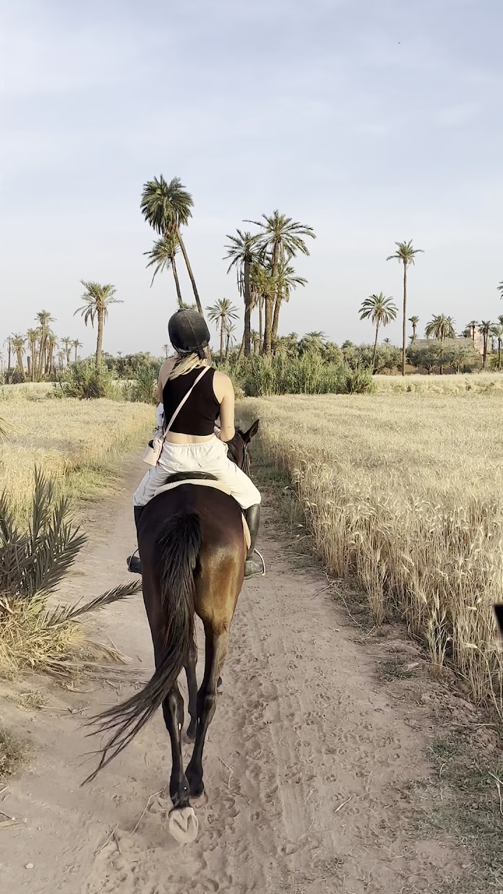 Cheval Marrakech — photo 2