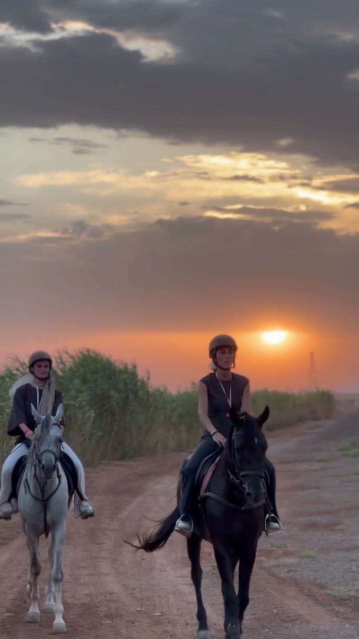 Marrakech Cheval — photo 2