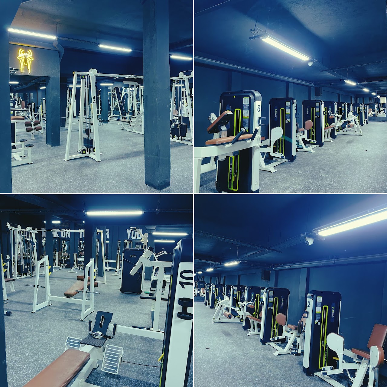 The Real gym — photo 3