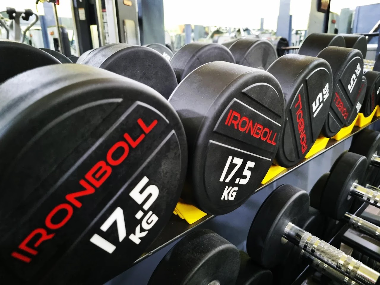 IRON STRENGTH GYM — photo 2