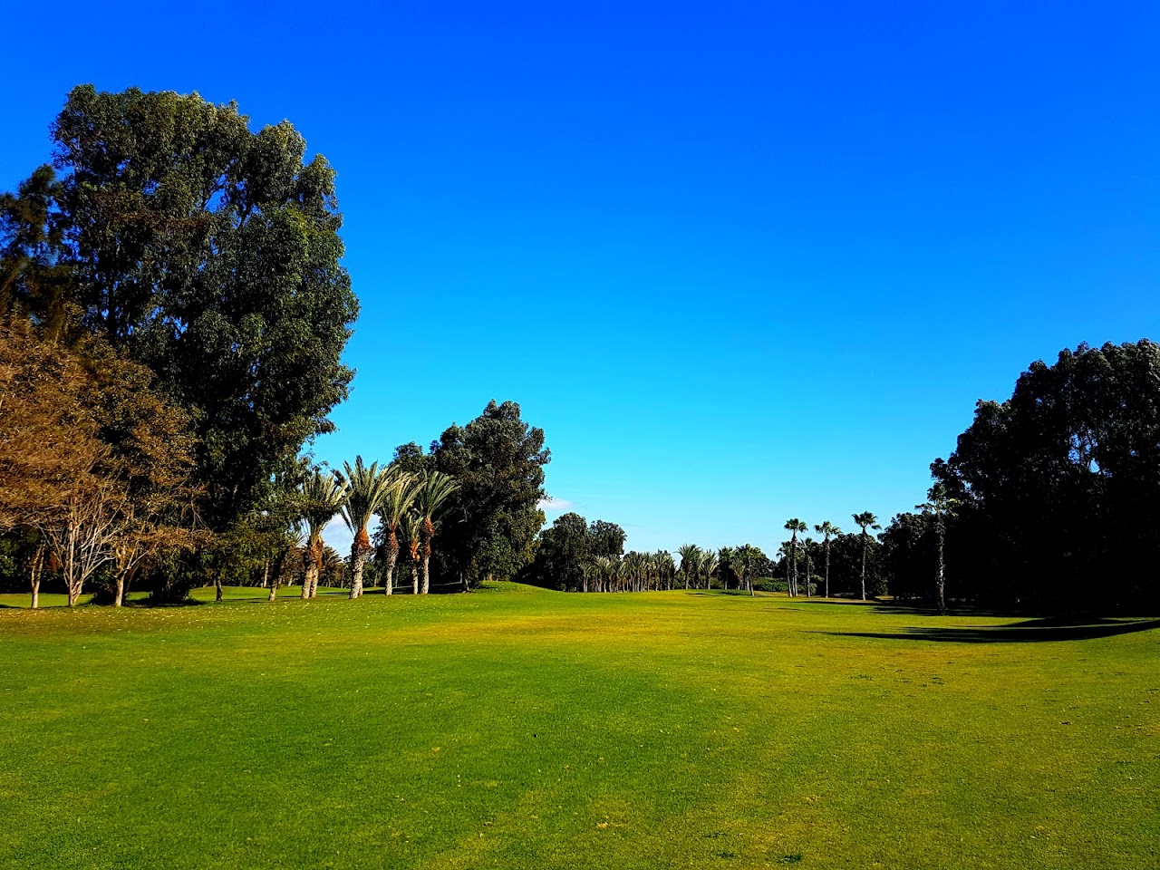 Royal Golf Club Agadir — photo 3