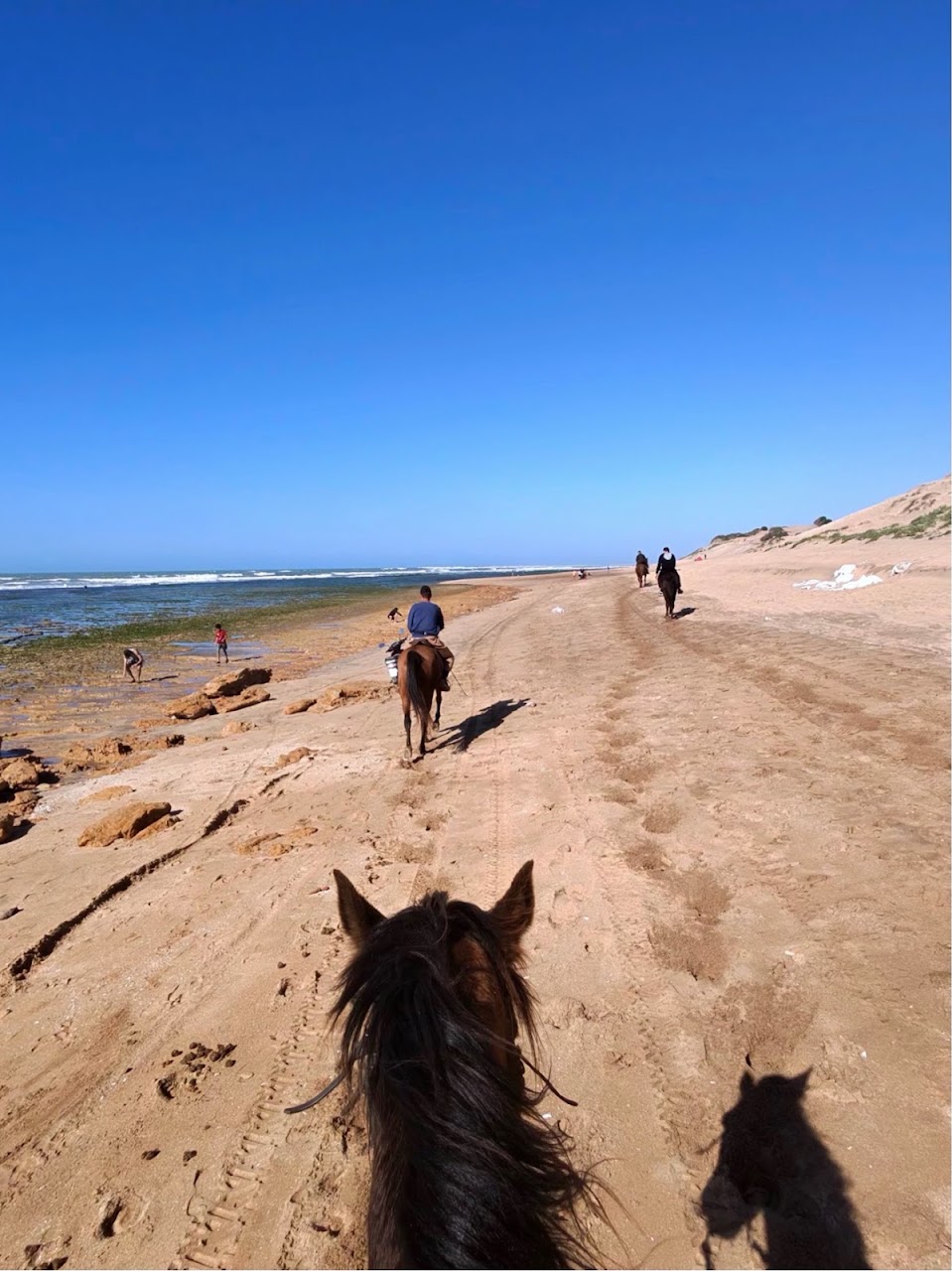 Horseland casablanca — photo 4
