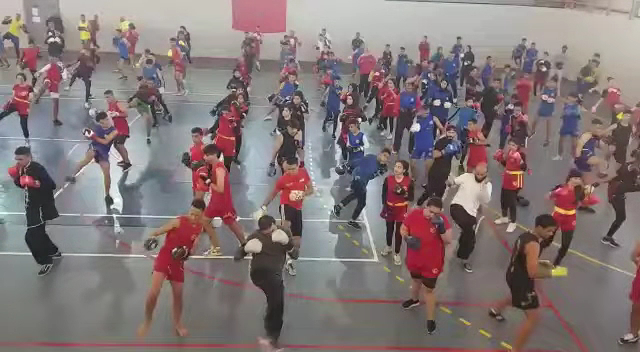 Association Feilong de Wushu et Taichi — photo 2
