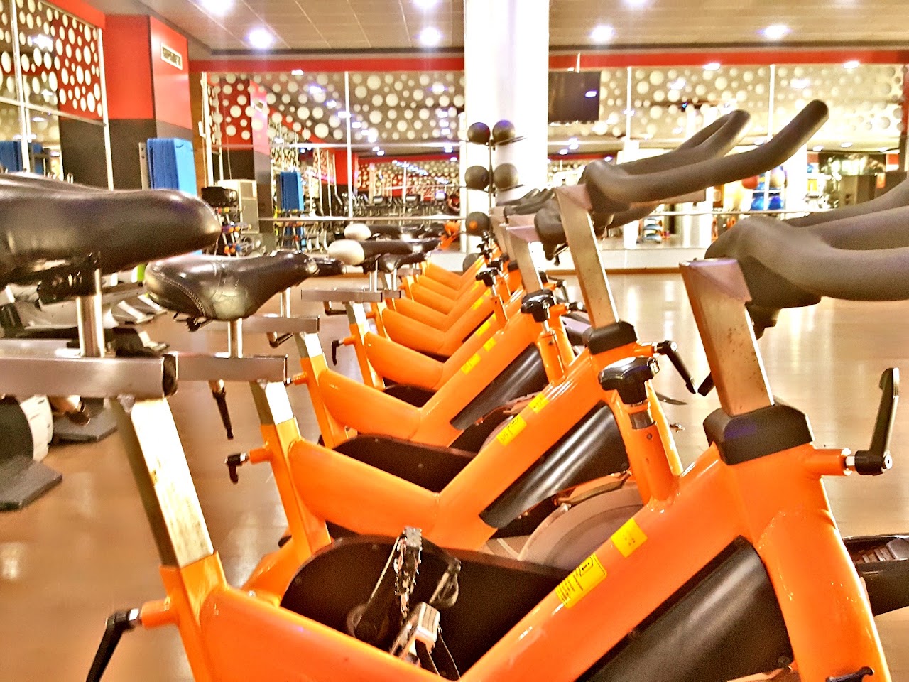 Oujda Fitness