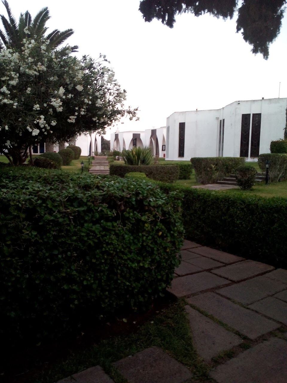 Napht Club — photo 4