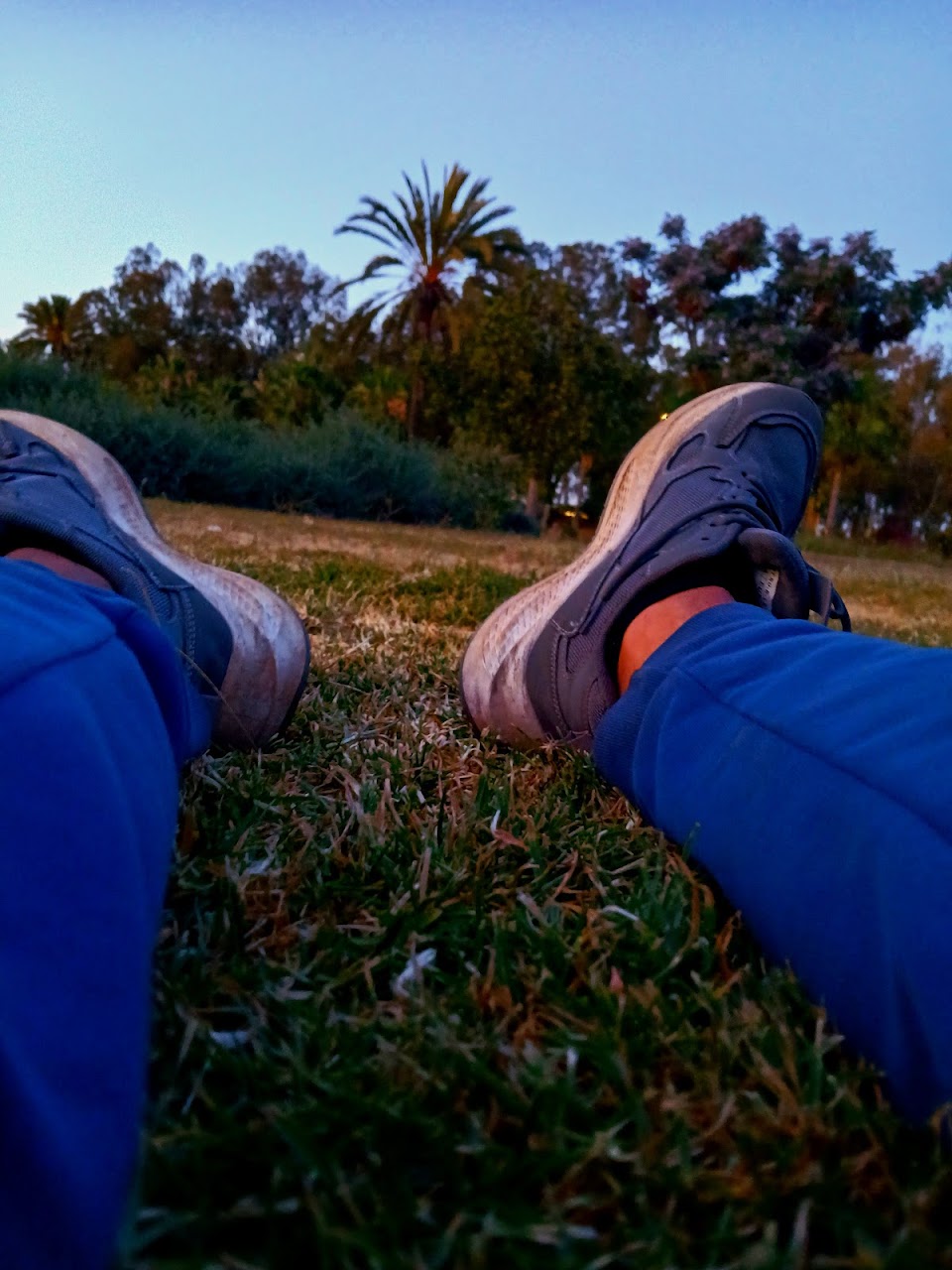 صالة رياضة كمال اجسام — photo 3