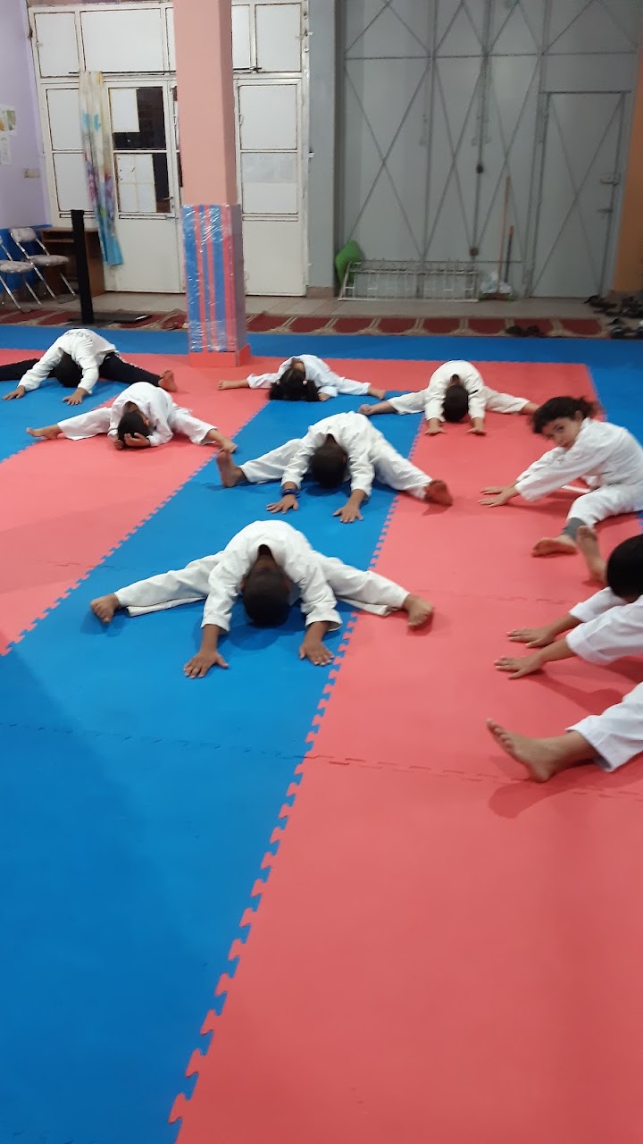 Association Lions d'Orient des Sports — photo 4