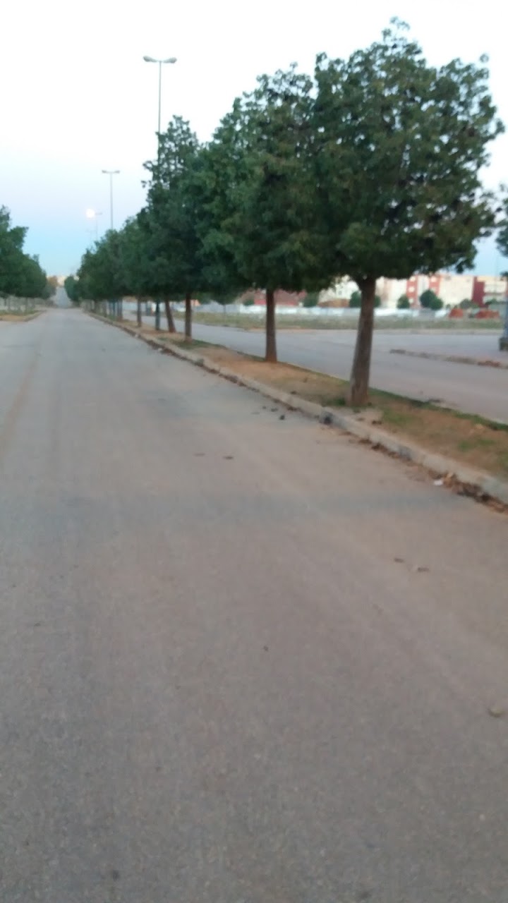 القاعة المغطاة للرياضة"تولال" — photo 4