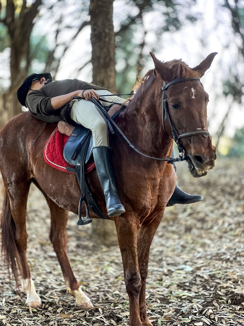 Ain gueddid horse rides — photo 3