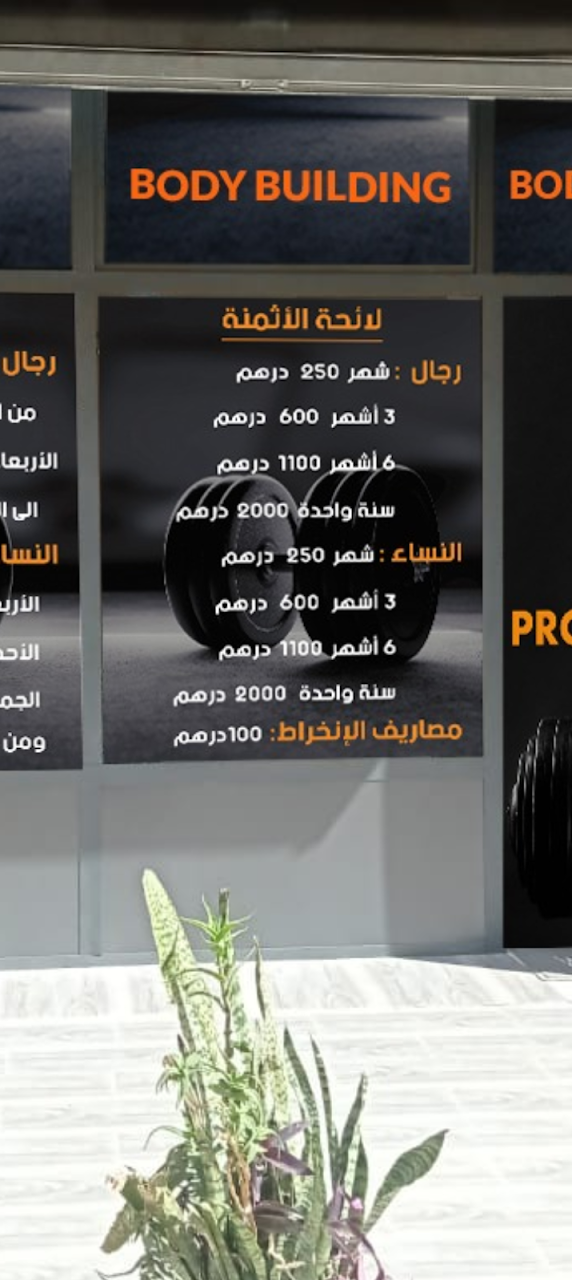 Pro 365 GYM — photo 3