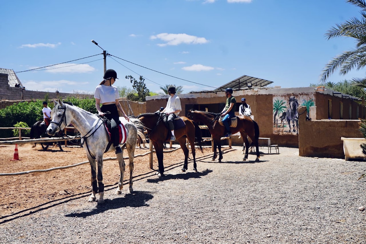 Premium Horse & Quad Tours in Marrakech Palmeraie