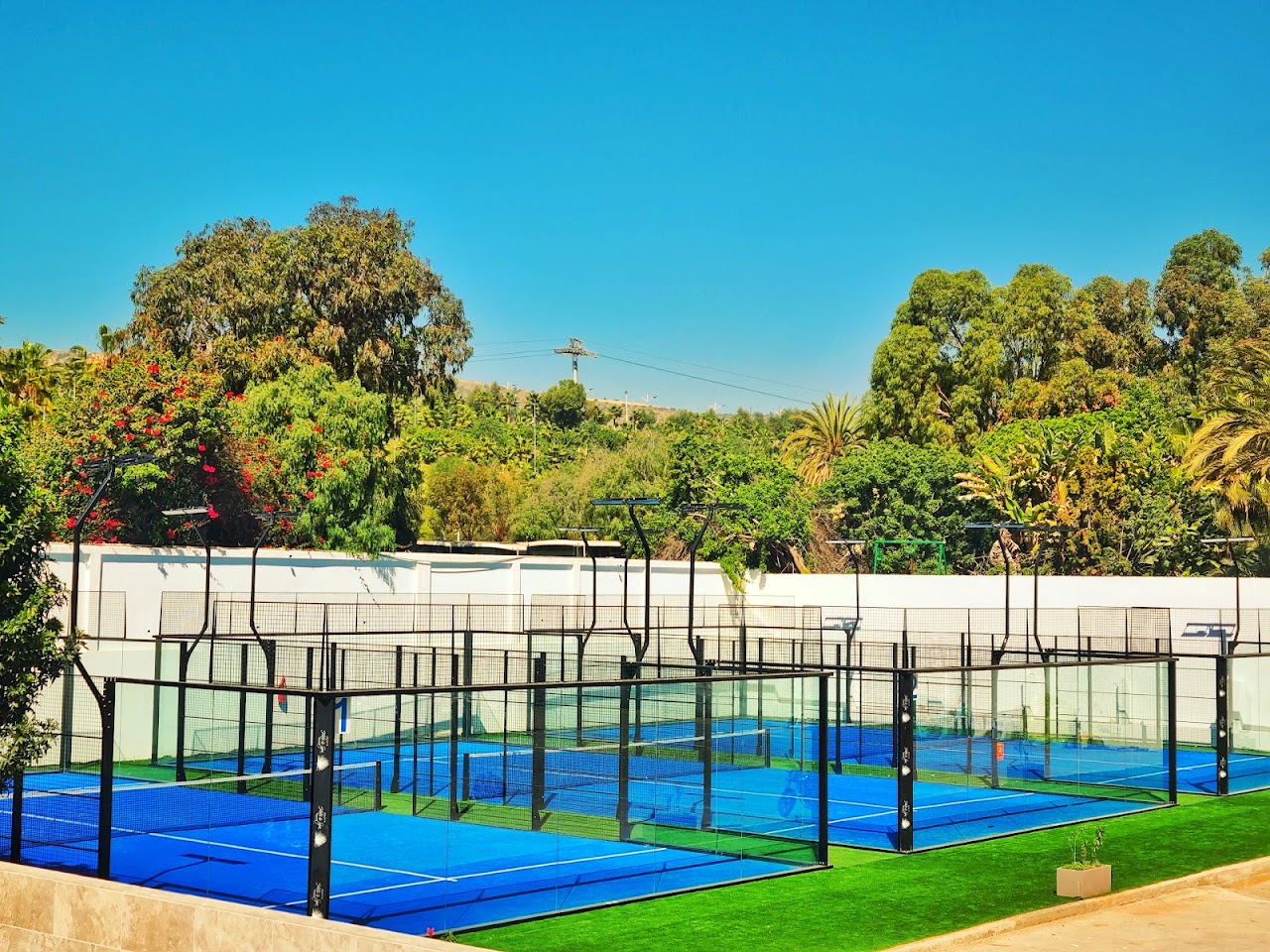 Padel Oasis — photo 2