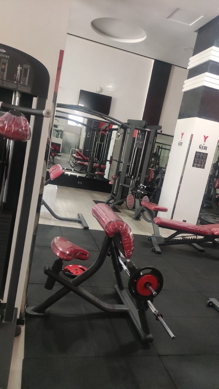 Y GYM — photo 3
