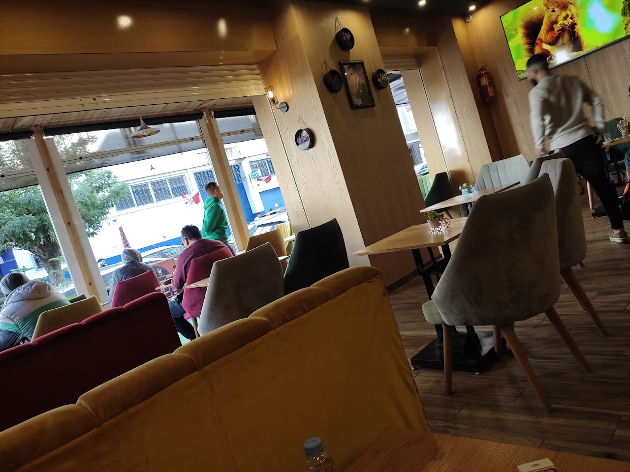 Trainer Talal — photo 4
