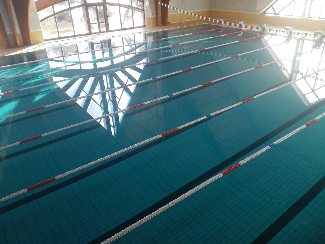 Swimming Pool — photo 2