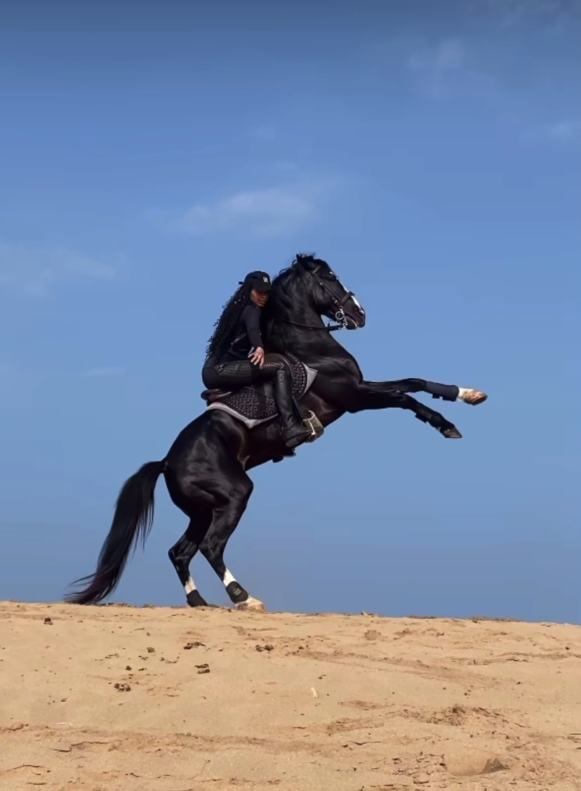 Horse Adventure Essaouira — photo 2