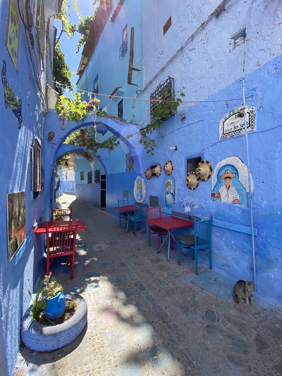 The Blue Pearl Gym — photo 3