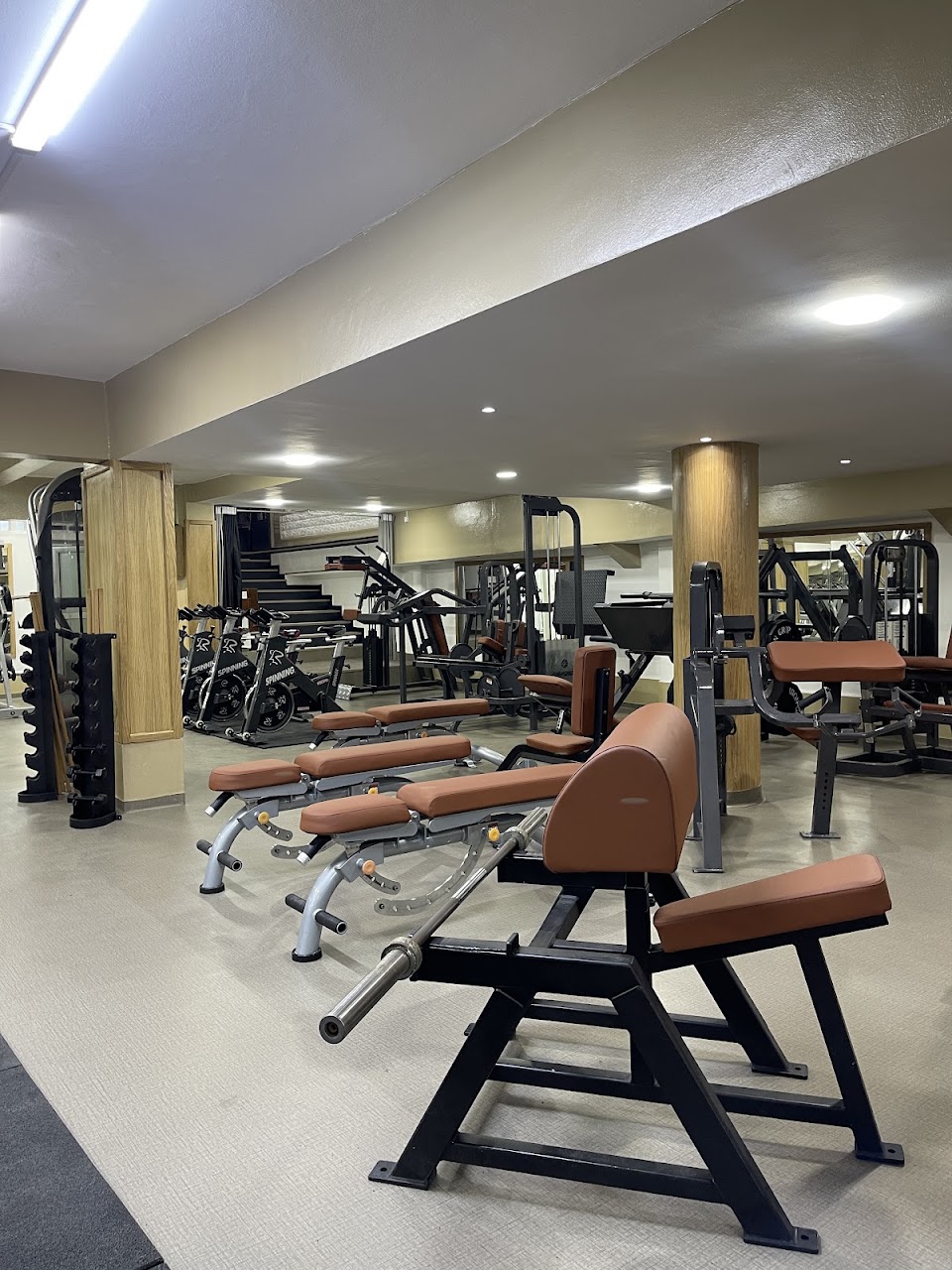 MF . MUSCULATION & FITNESS
