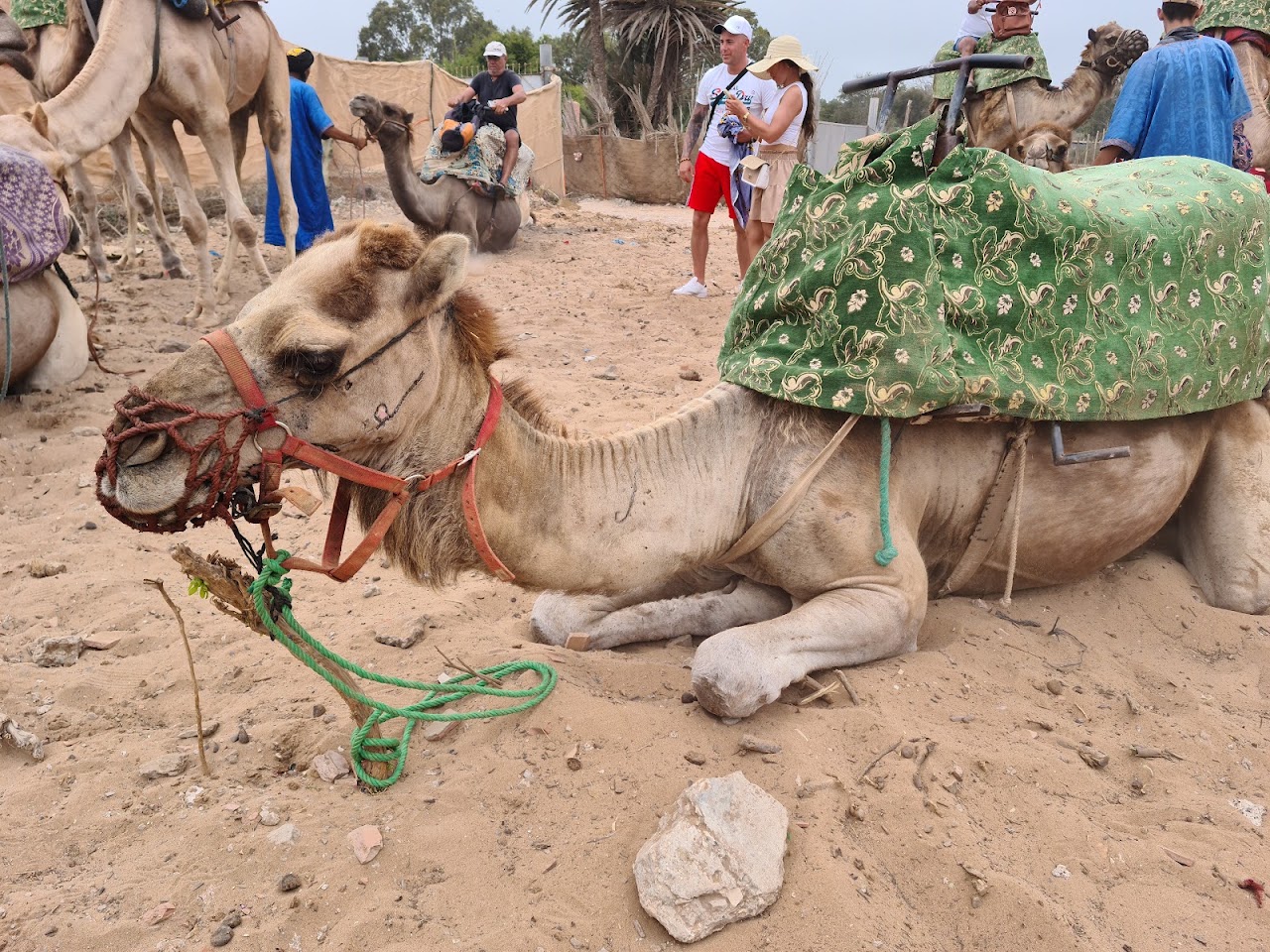 Club L'Etrier d'Agadir — photo 4