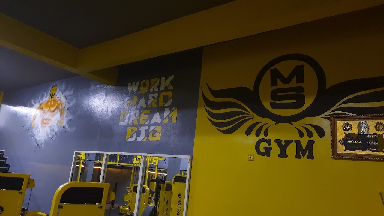 MS GYM — photo 2