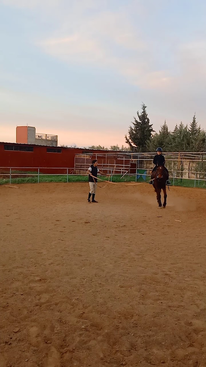 Club Al Adarissa D'équitation — photo 2
