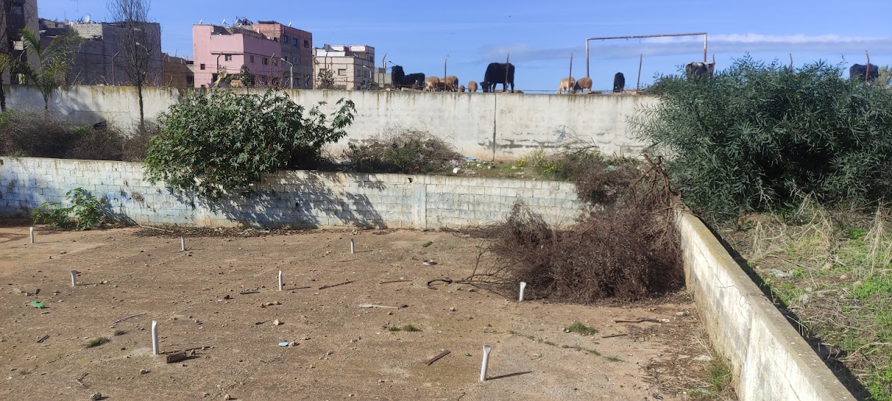 مسبح حي الرحمة — photo 4