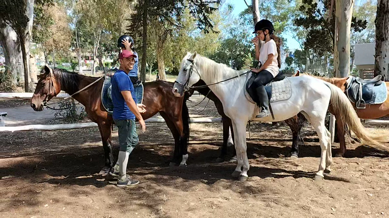 Royal Equestrian Club — photo 2