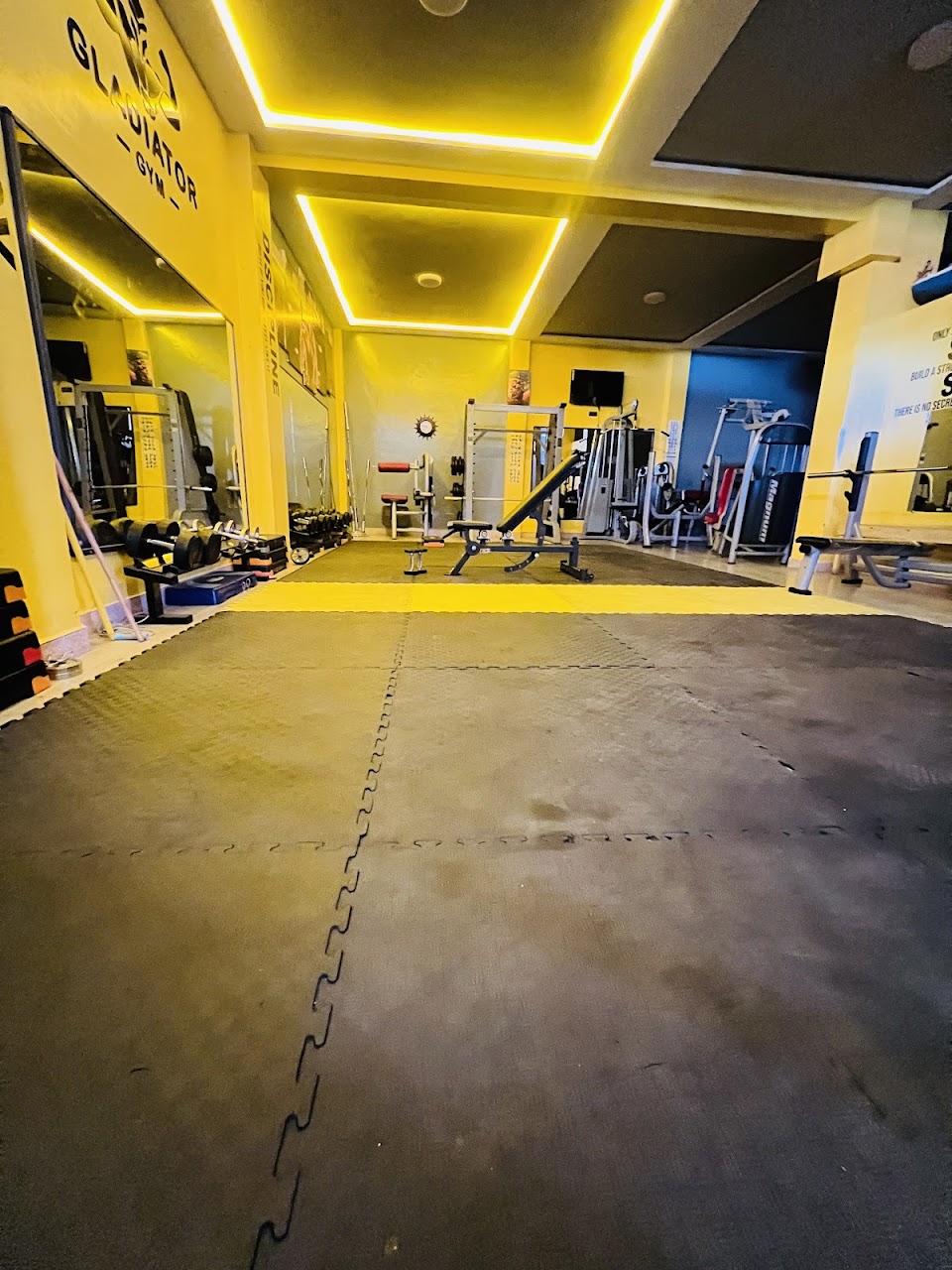 Gladiator Gym — photo 4