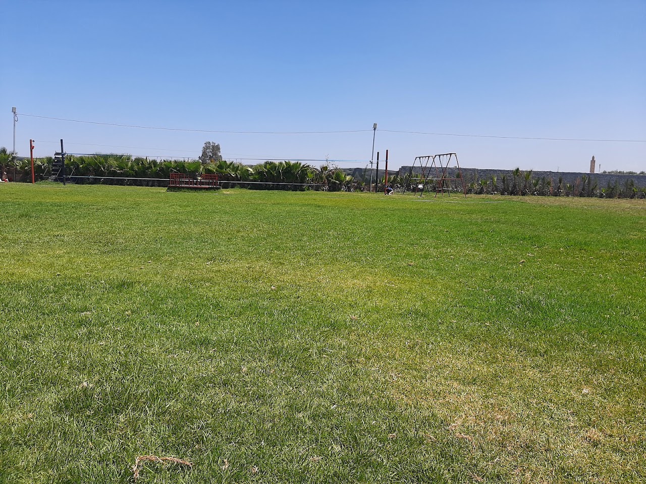 terrain de footballe ( cardo) — photo 2