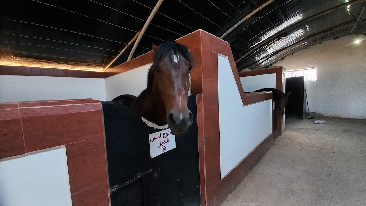 Club Equestre Nador