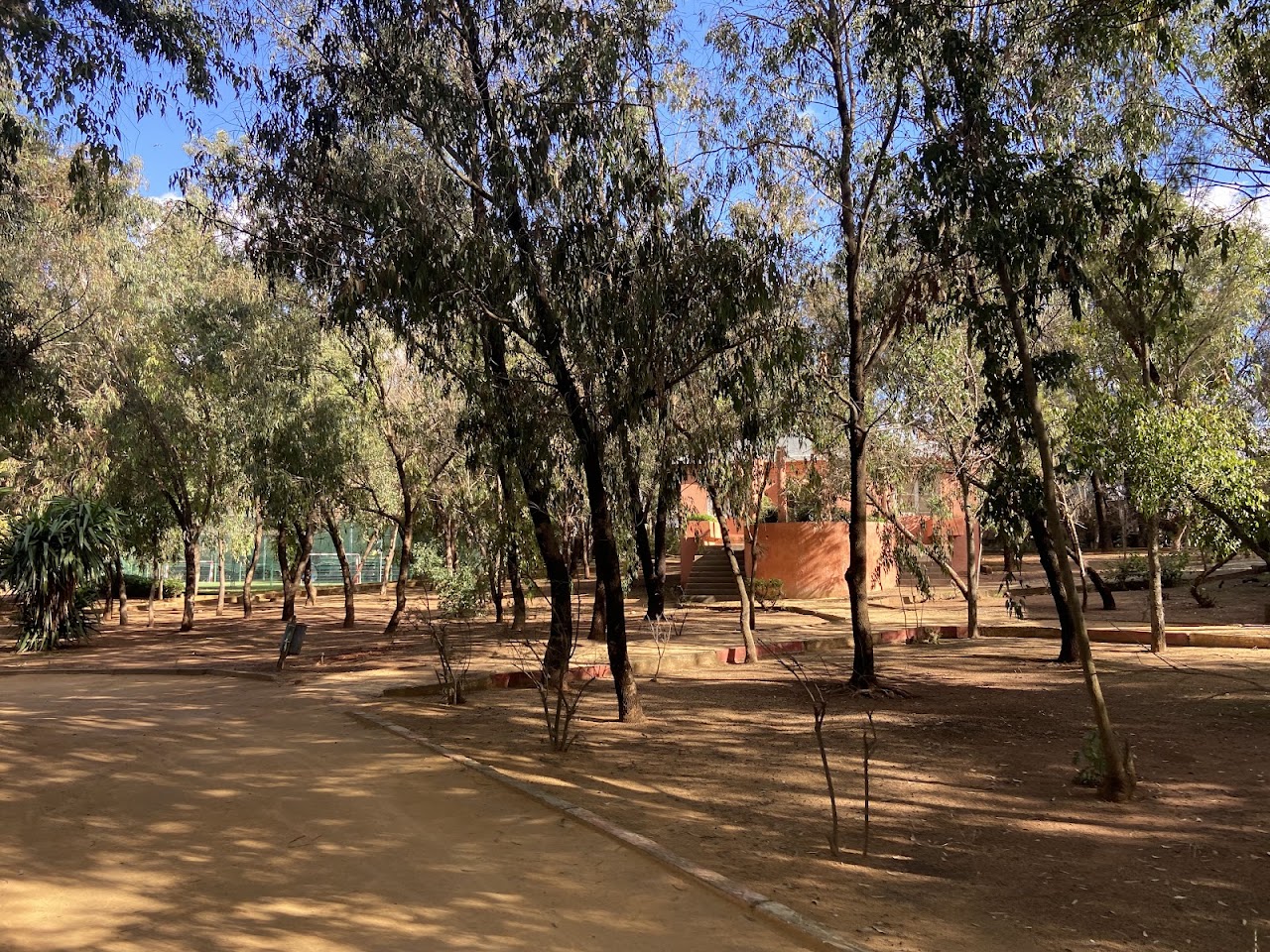 Omni Sport Club ben msick sidi othmane — photo 2