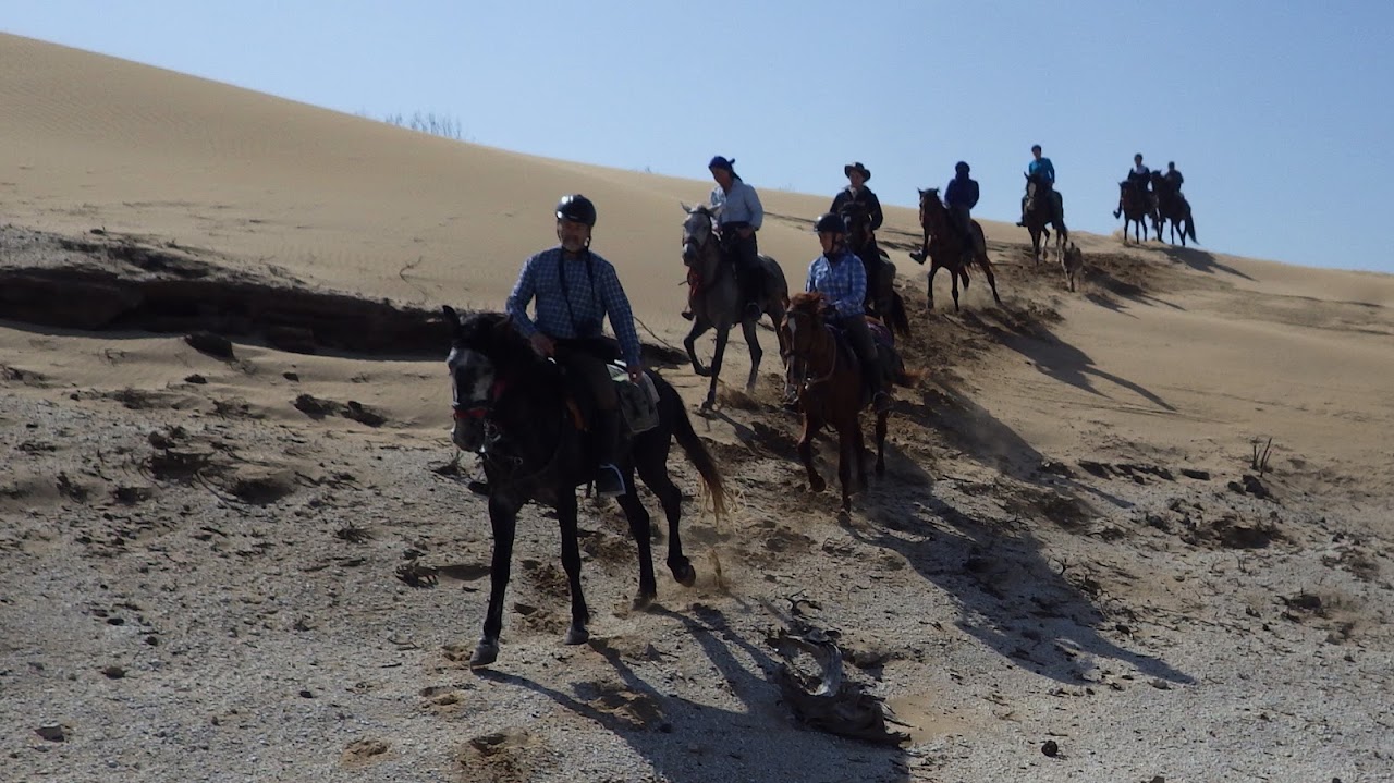 Horse Riding 🏇 🐎🐎🐎🐎🐎🐎 — photo 3