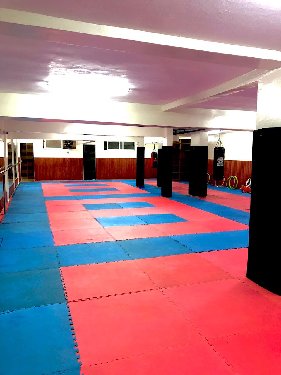 MY GYM HOUSE — photo 3