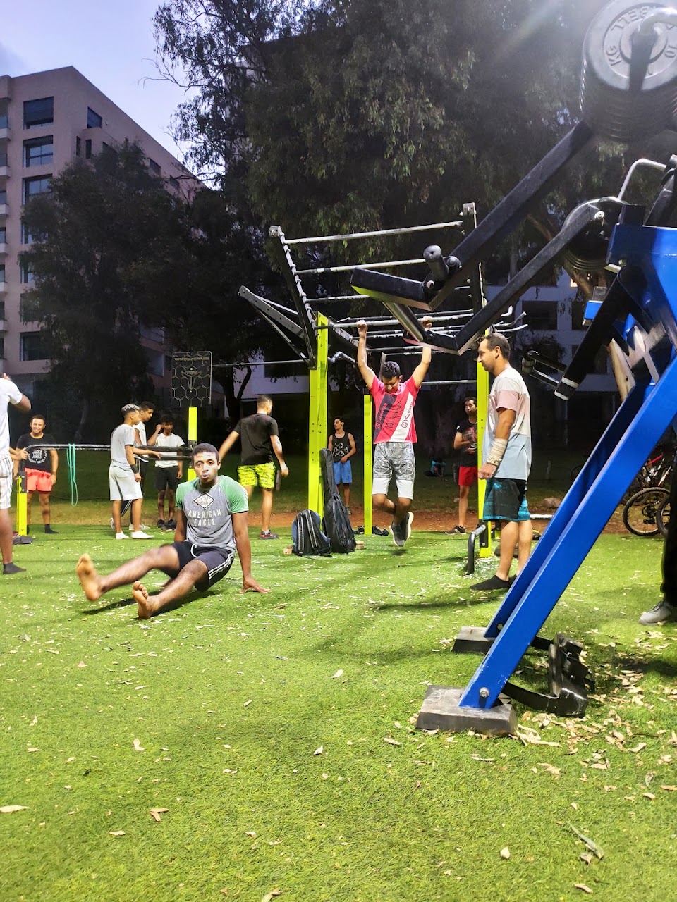 Outdoor gym — photo 3