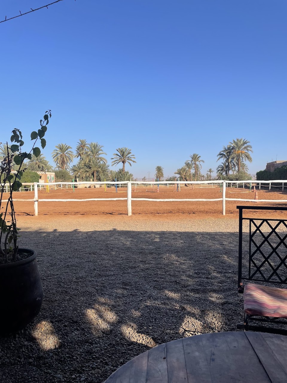 Club Horse Marrakech Randonnée & Balade — photo 4