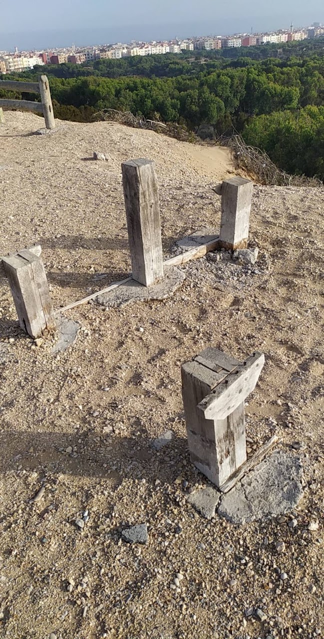 Workout Park — photo 3
