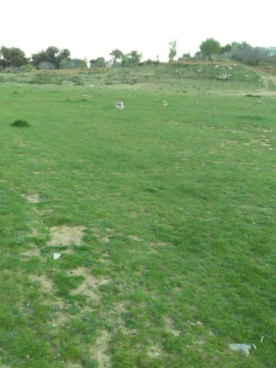 ملعب شرارطة — photo 3
