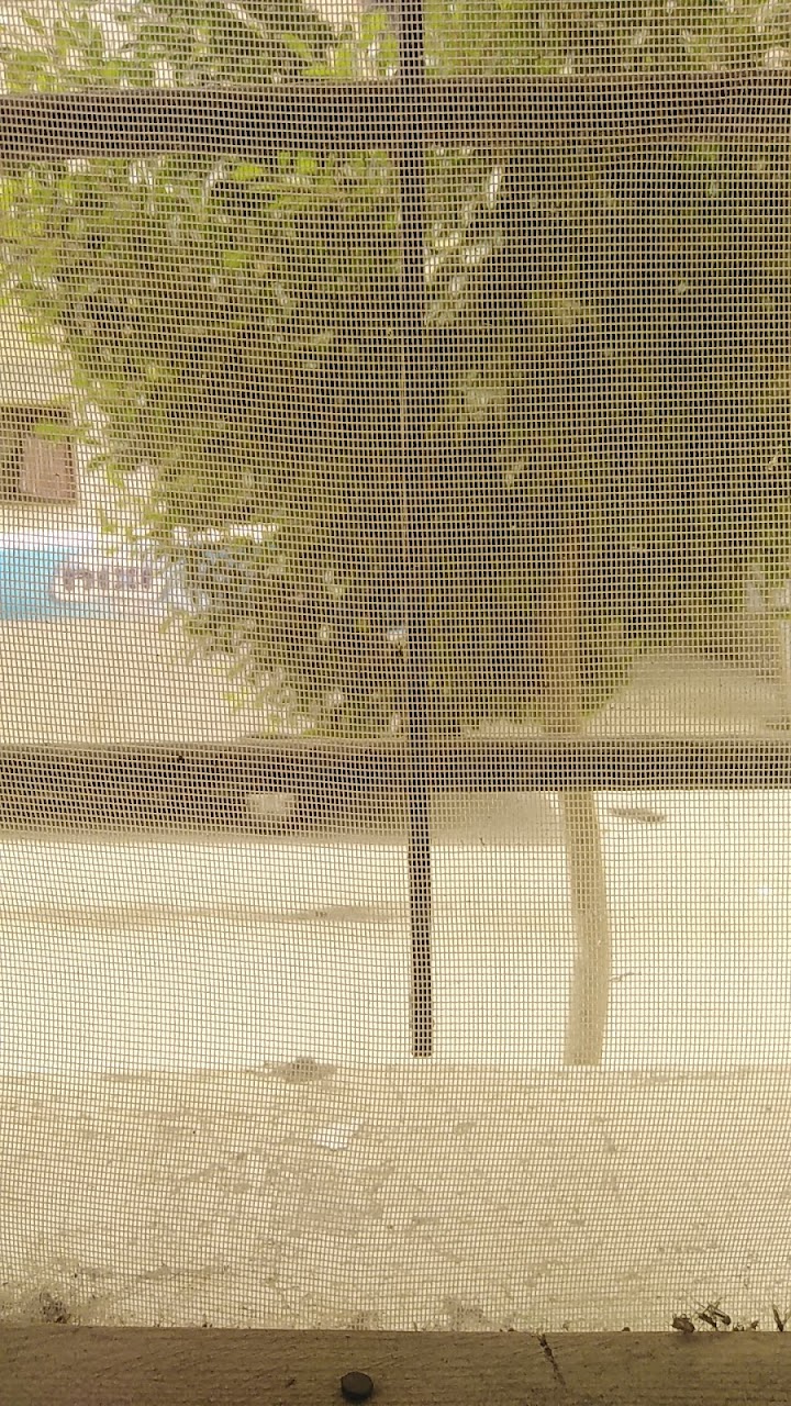 ملعب الغولف هوارة — photo 3