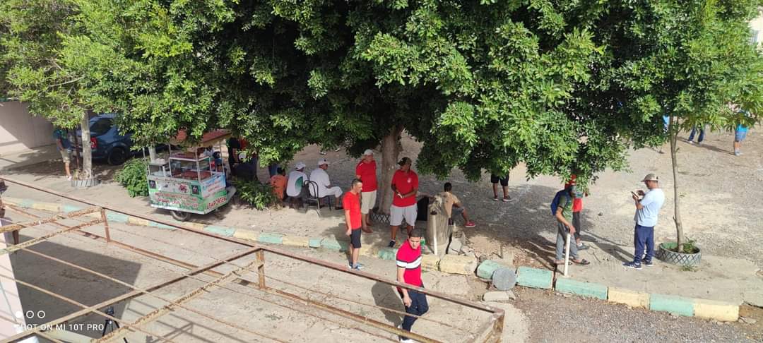 Club saknia de pétanque — photo 2