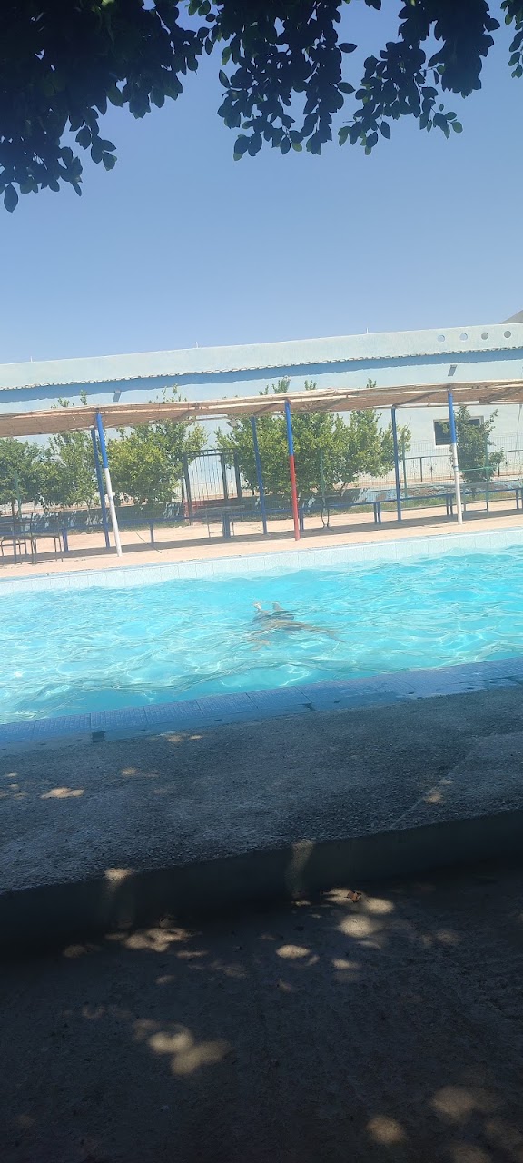 قاعة الافراح مسبح مقهى إخوان قاسي — photo 2