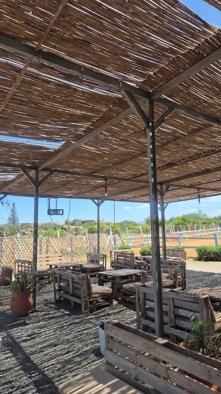 El jawed club equestre — photo 4